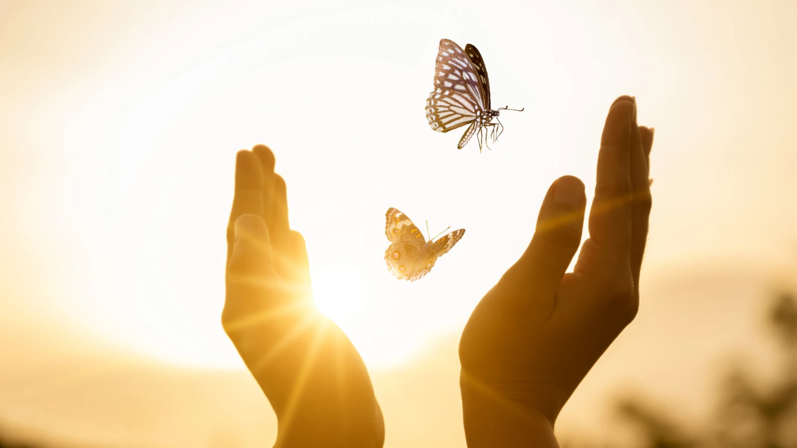 Relación entre las emociones y la enfermedad